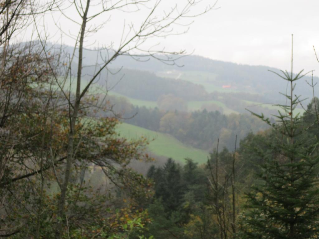Waldpension Stachl Bromberg Extérieur photo